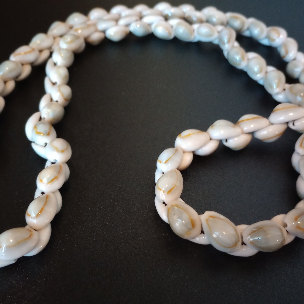 Ring top Cowrie Shells - Picture 2 of 3